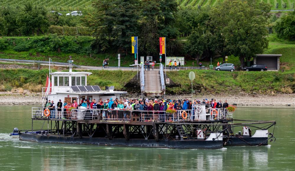 Wachau Marathon Schiff