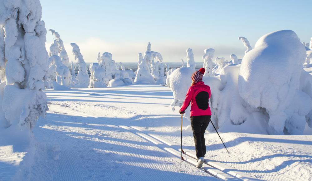 Nordischer Wintersport