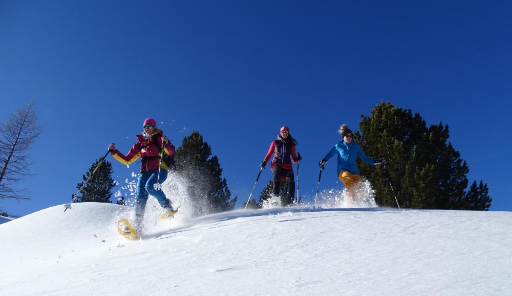 Schneeschuhwanderung Murtal