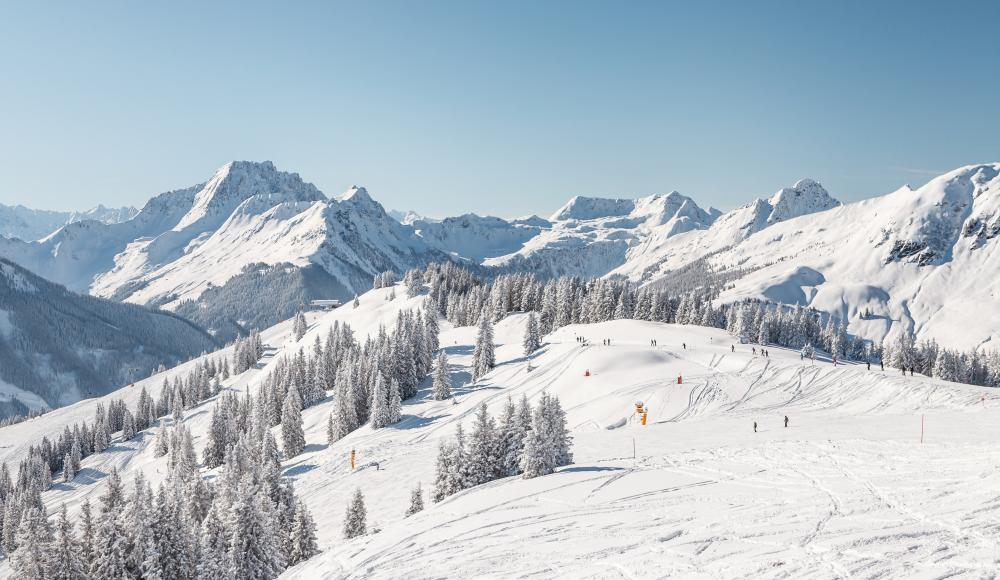 Landschaft Saalbach