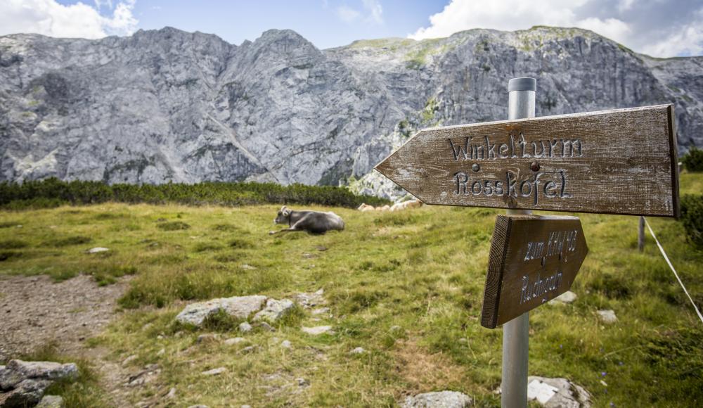 Sonnenalpe Falkensteiner