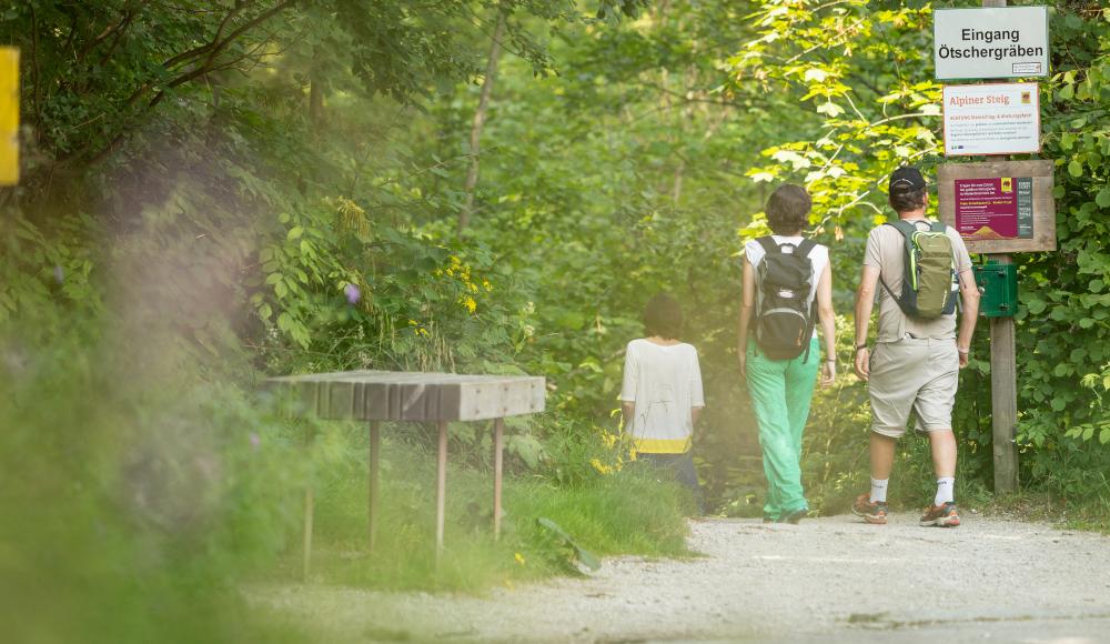 Ötschergräben-Wanderung