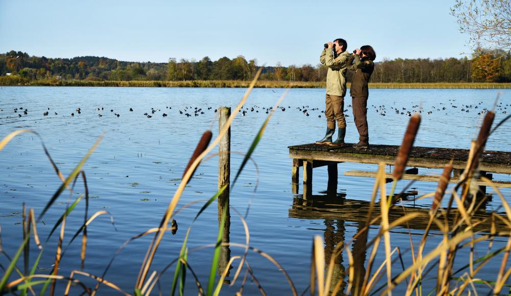 Sehen, staunen, festhalten: Neue Aussichten mit Ferngläsern von SWAROVSKI OPTIK