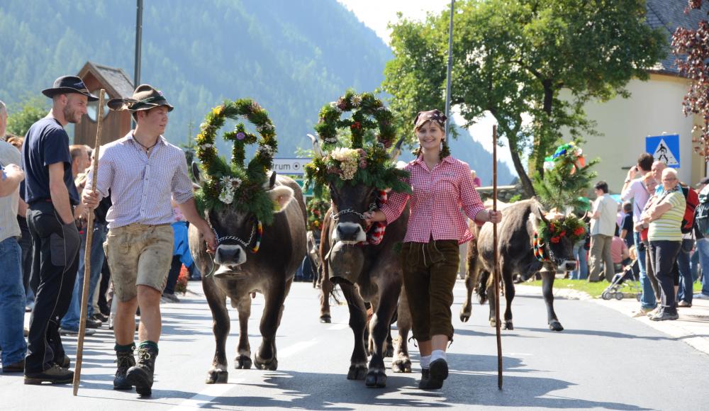 Stubai Herbst-Highlights Almauftrieb