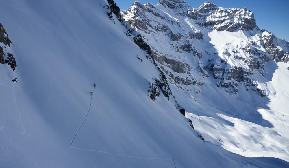 Freeride Vergnügen Pomoca