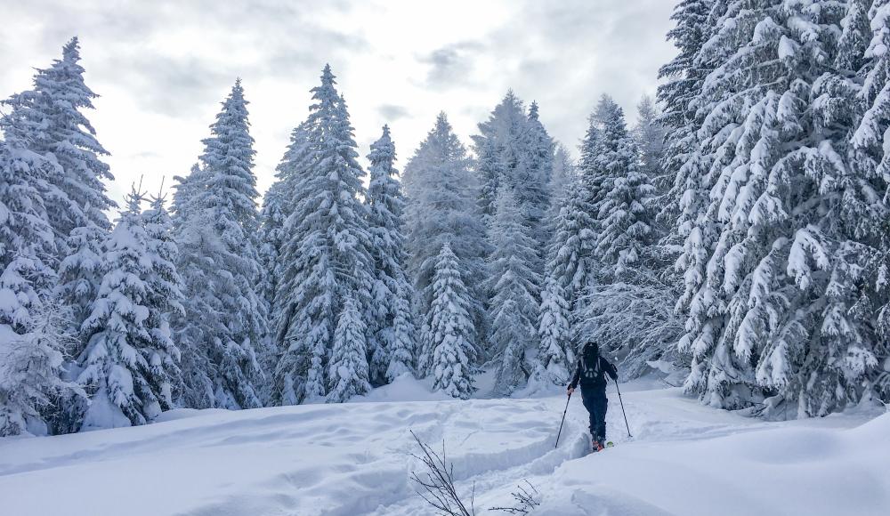 Skitourengehen im Wipptal