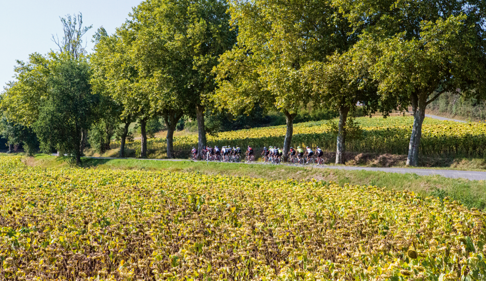 Huerzeler Bicycle Holidays: In den Radurlaub mit Freunden