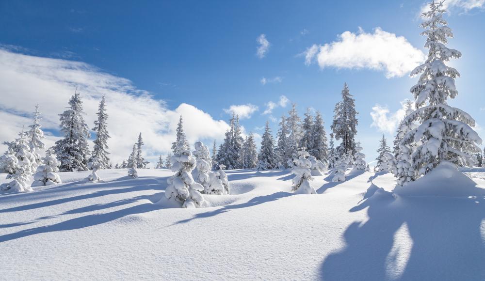 DAS MÄRCHENHAFTE BERGDORF IN SKI AMADÉ