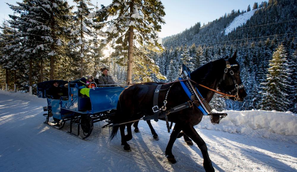 DAS MÄRCHENHAFTE BERGDORF IN SKI AMADÉ