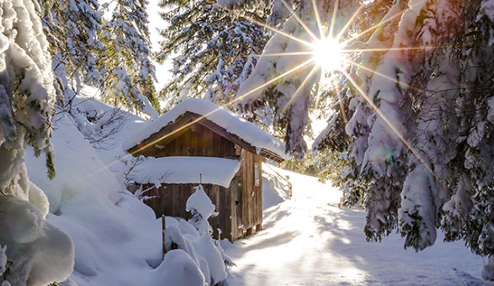 DAS MÄRCHENHAFTE BERGDORF IN SKI AMADÉ