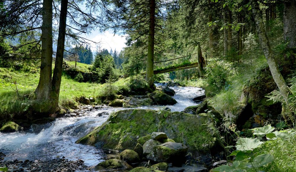 Mittersill-Hollersbach-Stuhlfelden: Wandern mit Blick auf die 3000er