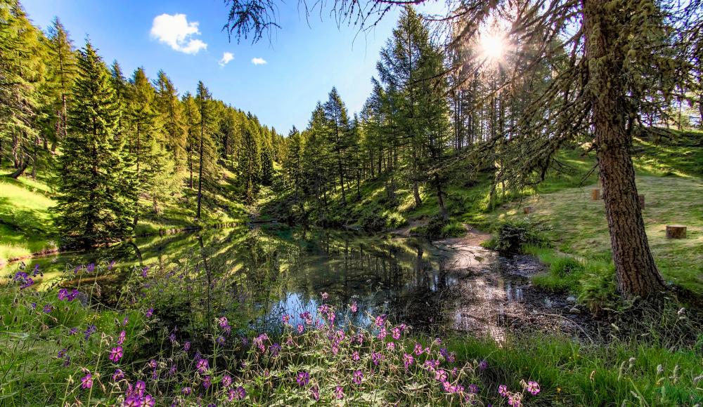 Drück' deinen Wunsch nach Freiheit aus: Dein Urlaub im Valsugana und Lagorai (IT)