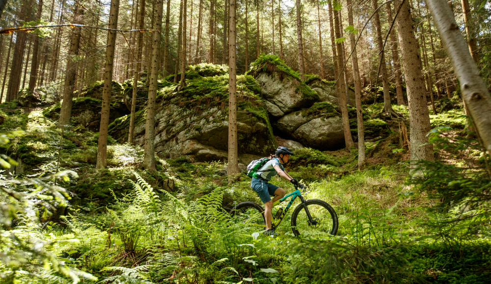 Ein Abenteuer für´s Leben: das Waldviertler Mountainbike-Erlebnis