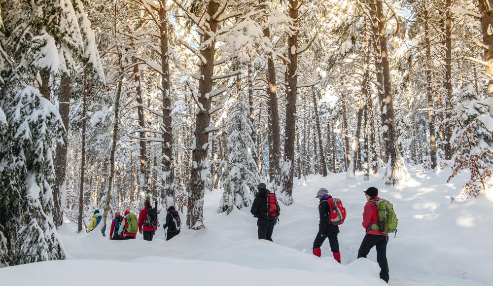 Von weit bis steil: Gerade im Corona-Winter liegt Winterwandern im Trend