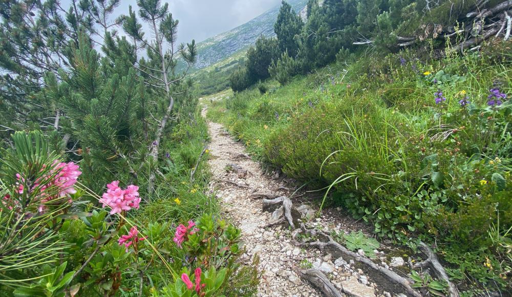 Alpe Adria Ultra Trail 2021: Lauf in den Garten Eden