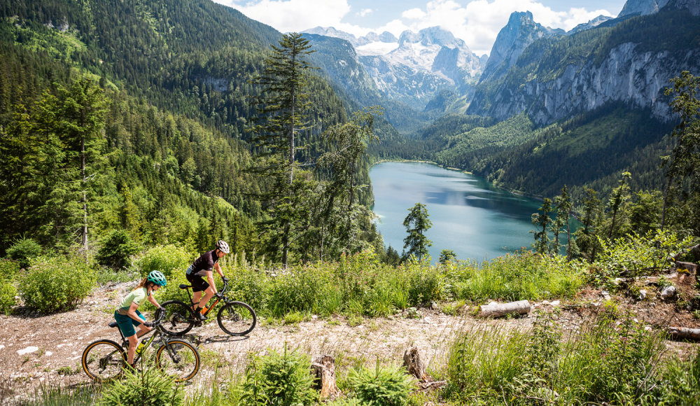 Viel Rad, wenig Geld: Wie teuer müssen Mountainbikes sein?