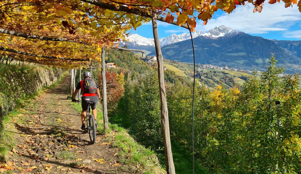 BIKEPRO: So wird dein Traumjob "Mountainbike-Guide" Wirklichkeit