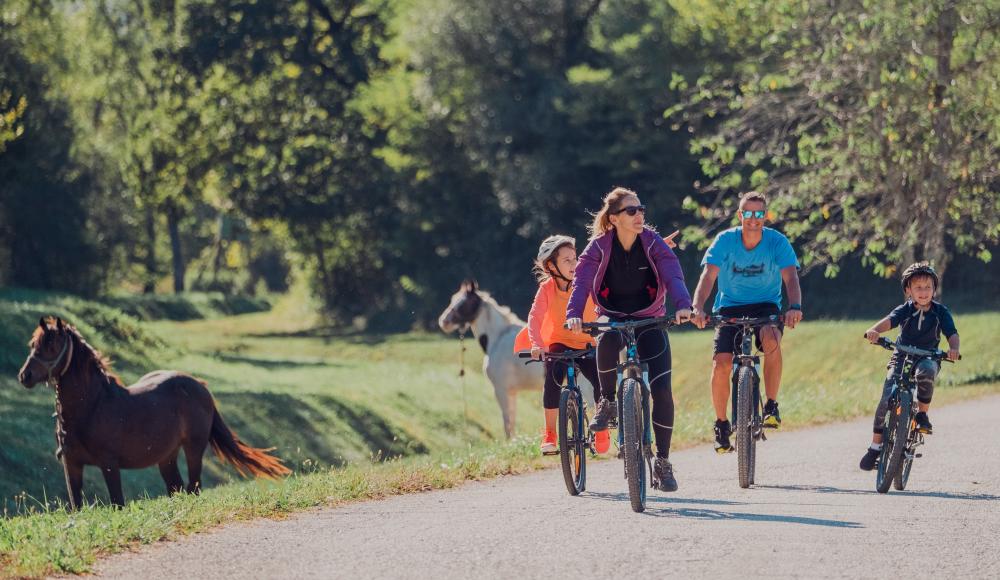 Valamar Loves Bike: Erlebe einen unvergesslichen Radurlaub an der Küste Kroatiens!