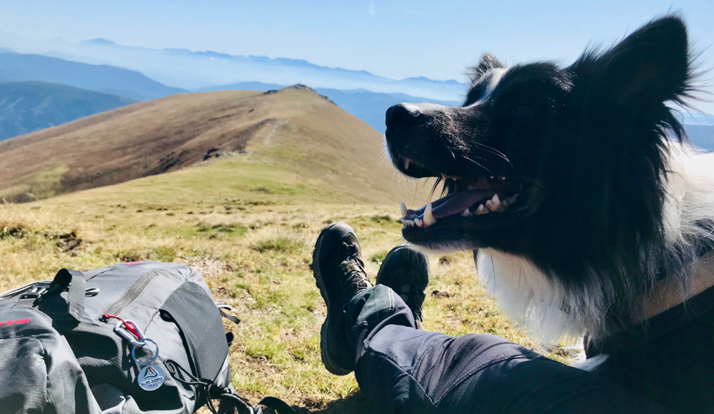 Vom Gletscher ans Meer: Wandern am Alpe-Adria-Trail