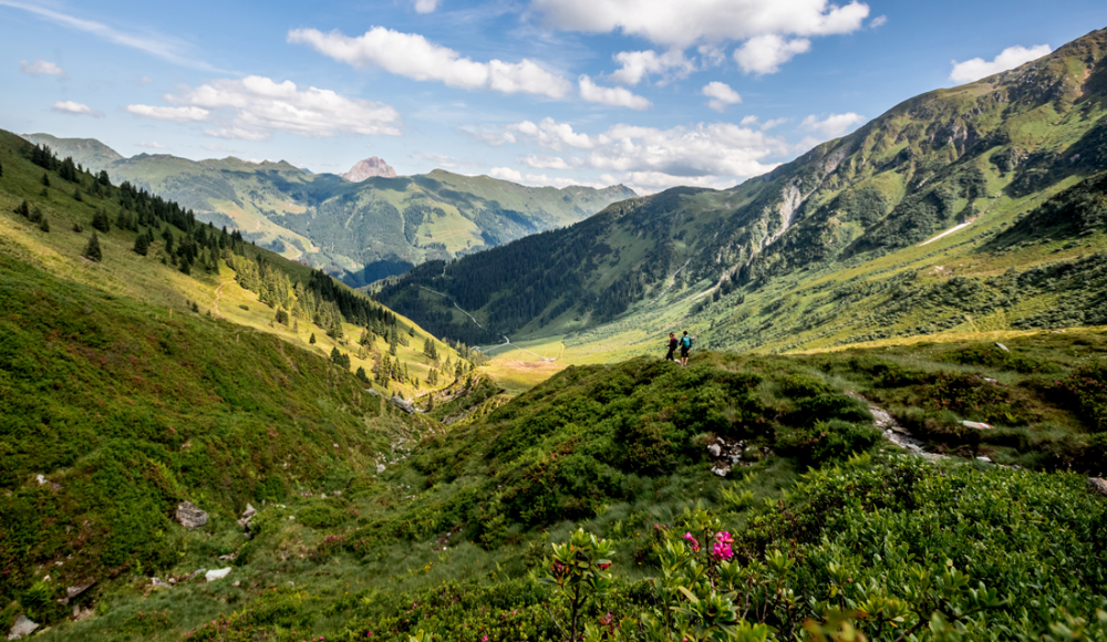 Urlaub in den Kitzbüheler Alpen: Hier gibt's von allem etwas mehr!