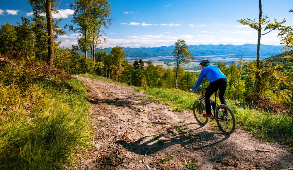 Haltung bewahren: Die 7 besten Fahrtechniktipps für Mountainbiker