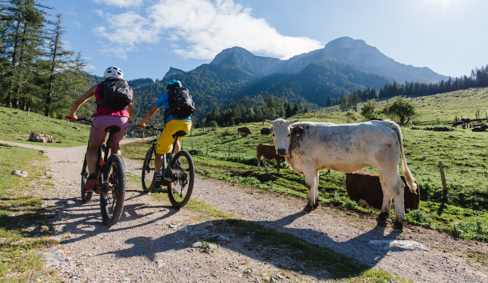 Salzkammergut: Mit dem eMountainbike hoch hinaus