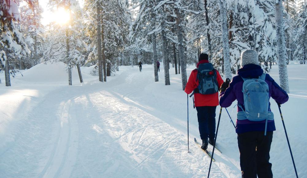 Langlauflust in Lappland: Was Finnlands Norden zum attraktiven Langlaufrevier macht