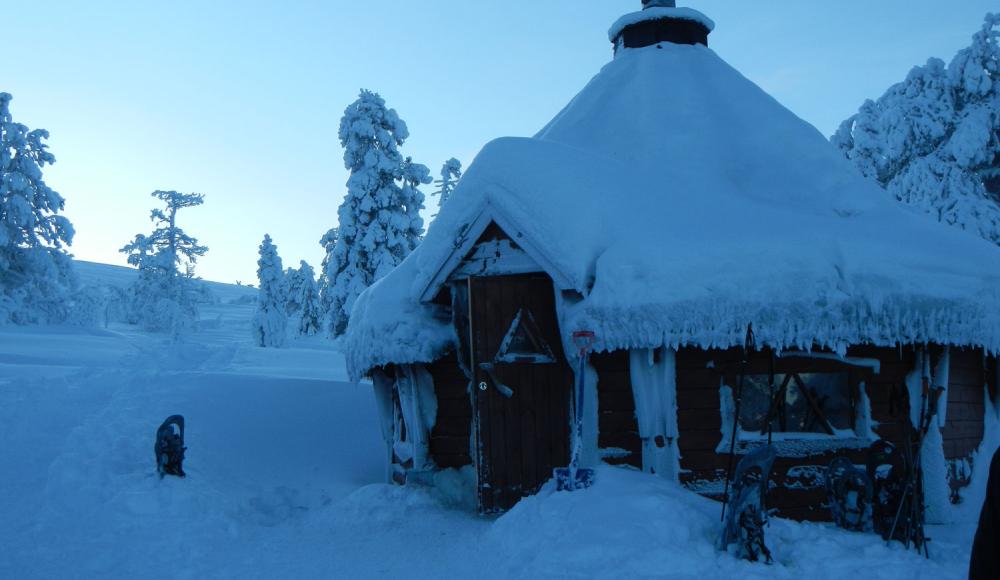 Langlauflust in Lappland: Was Finnlands Norden zum attraktiven Langlaufrevier macht