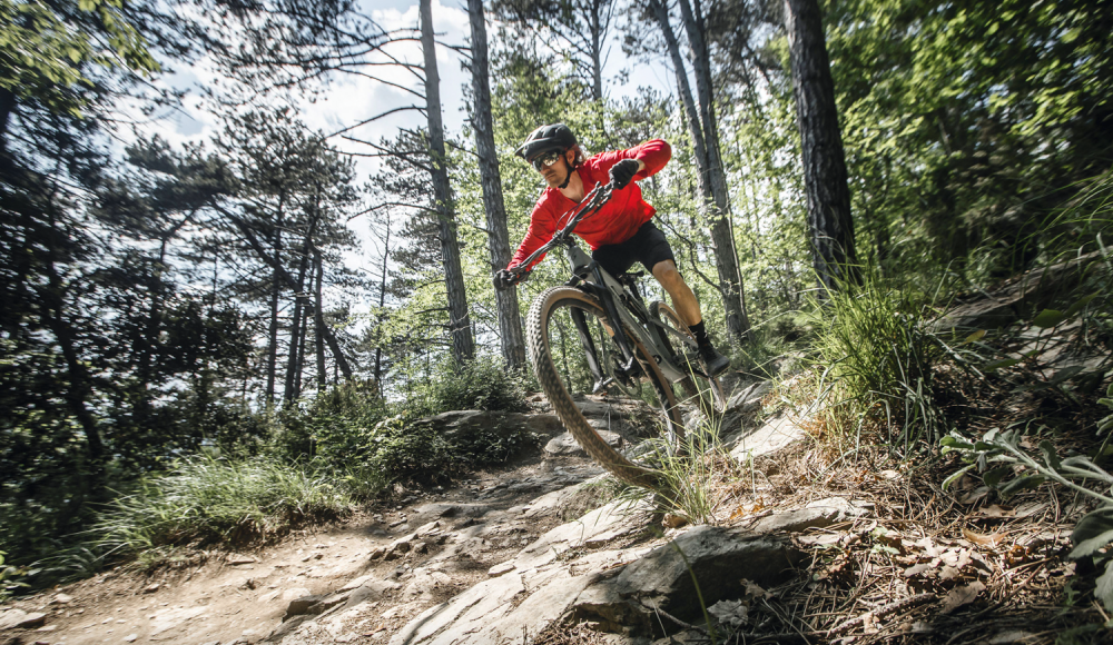 Kompromisslos und doch vielseitig: aktuelle Crosscountry-Mountainbikes