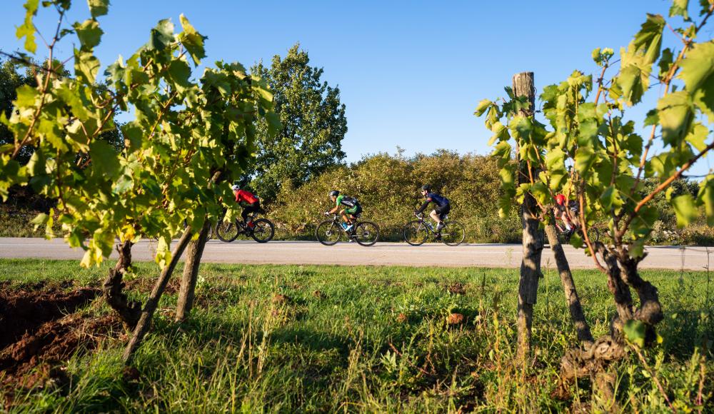 "Ride your Limits": Alles ist möglich beim Rennradevent Istria300!
