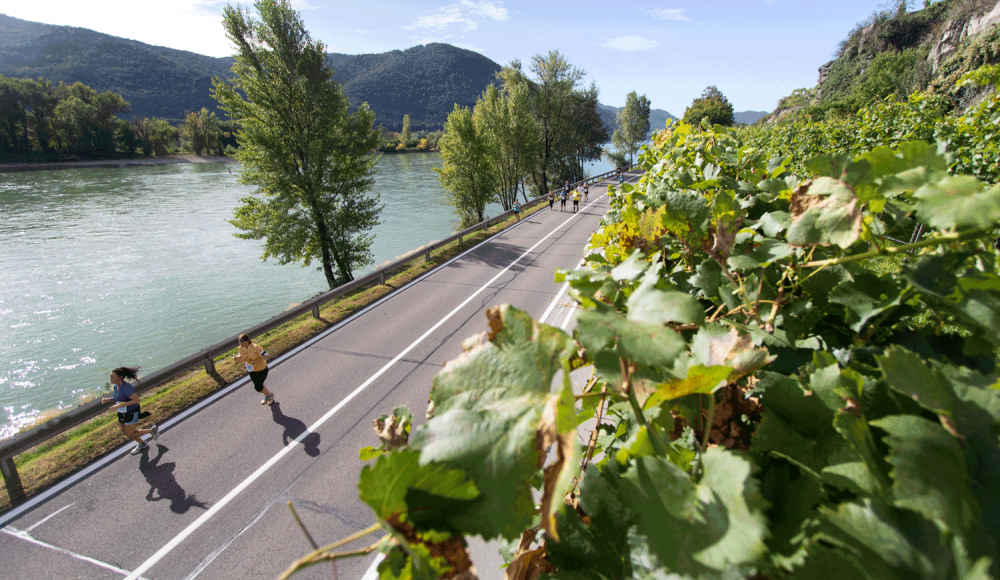 23. Int. WACHAUmarathon: Es wird wieder schnell