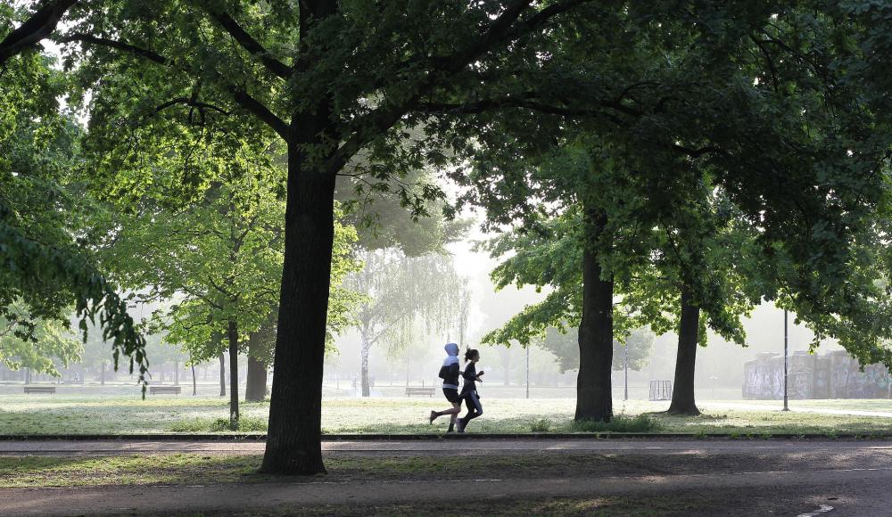 Warum der Sport uns alle so fasziniert und begeistert