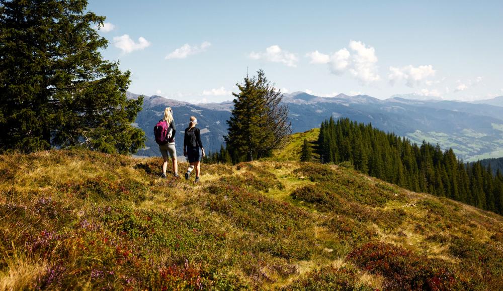 Wandern in Mittersill-Hollersbach-Stuhlfelden: Mit Blick auf den Nationalpark Hohe Tauern