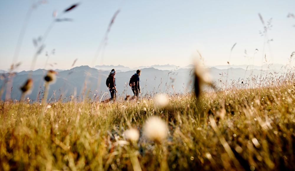 Wandern in Mittersill-Hollersbach-Stuhlfelden: Mit Blick auf den Nationalpark Hohe Tauern