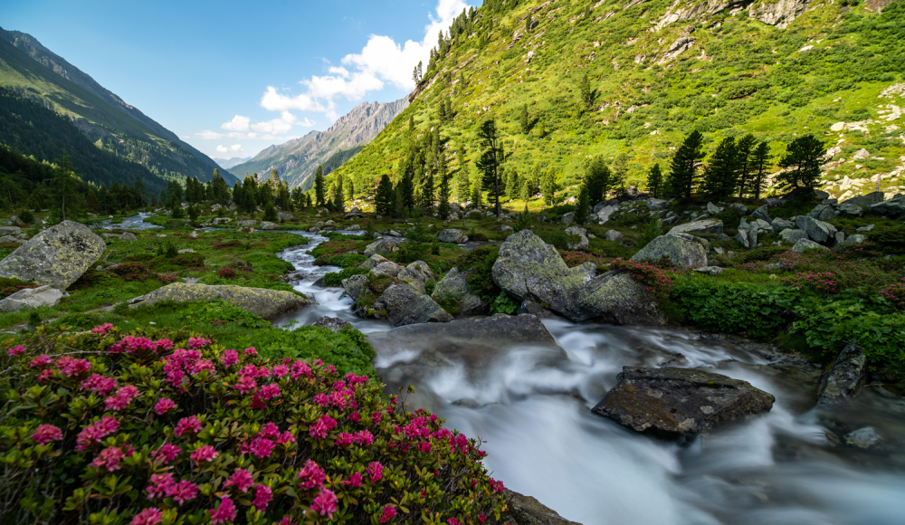 Osttirol: Mit gutem Gewissen