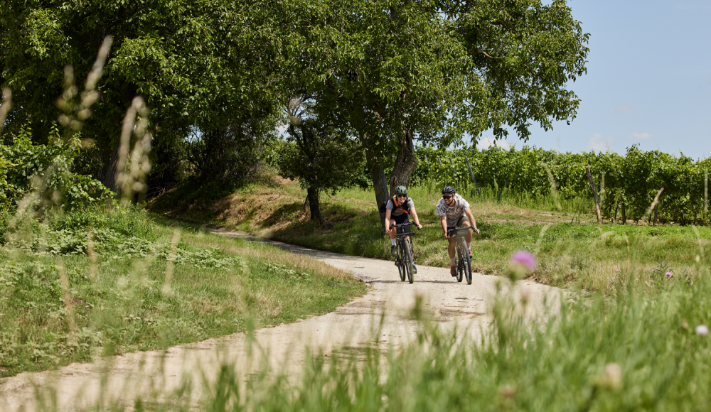 Niederösterreich: Graveln in allen Farben