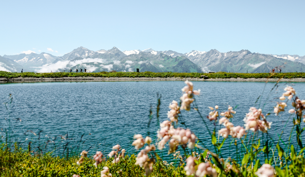 Am Puls der Natur: Sommererlebnis im Nationalpark Hohe Tauern 