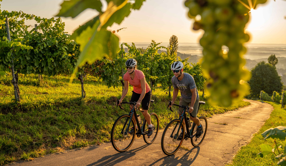 Südsteirische MTB-Vorreiter: Mountainbike Rad Vision 2025-2030