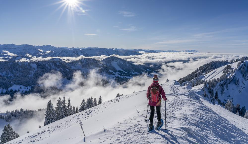 Piste, Loipe oder Eis: Welcher Wintersport-Typ bist du?