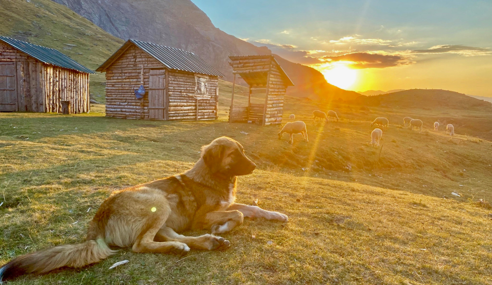 Leserreise EXPLORER Tour: Entdecke den unbekannten Westbalkan!