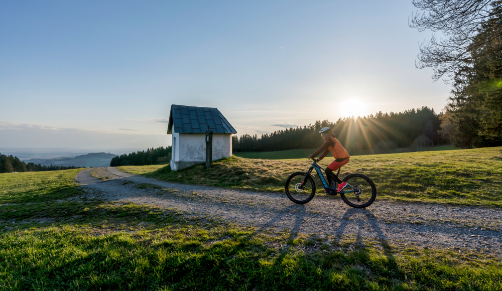 Top 20 MTB-Tagestouren 2023