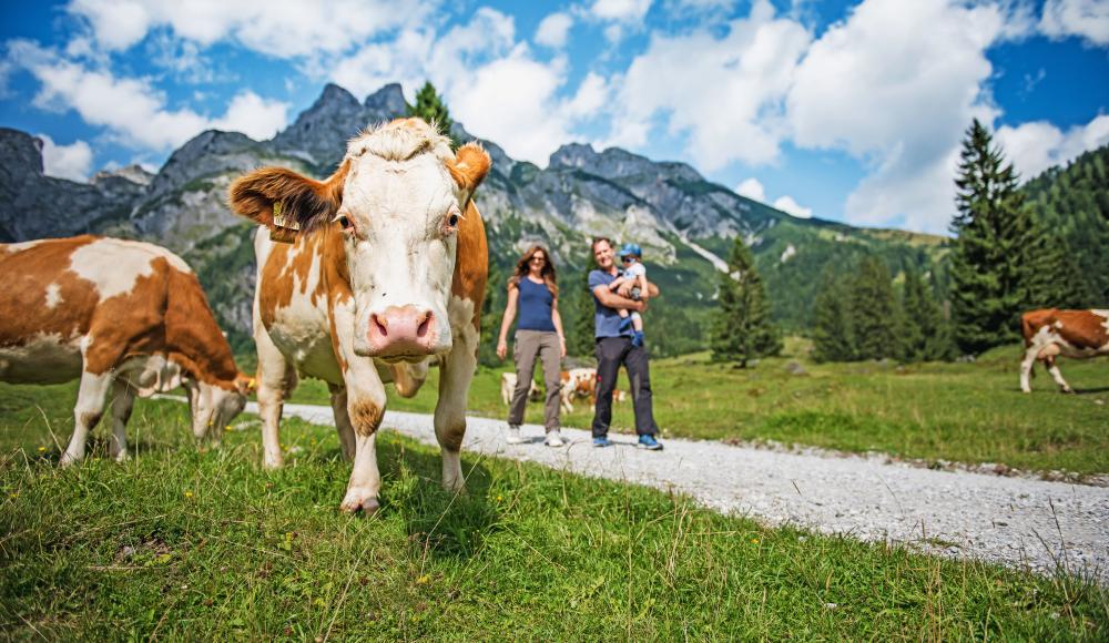 Top 20 Frühlings-Wandertouren 2023