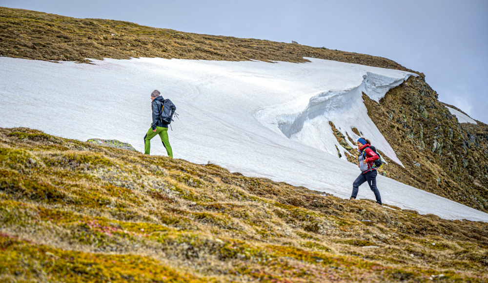 Frühlingsboten genießen: Was es über Wandertouren in der frühen Saisonphase zu wissen gilt