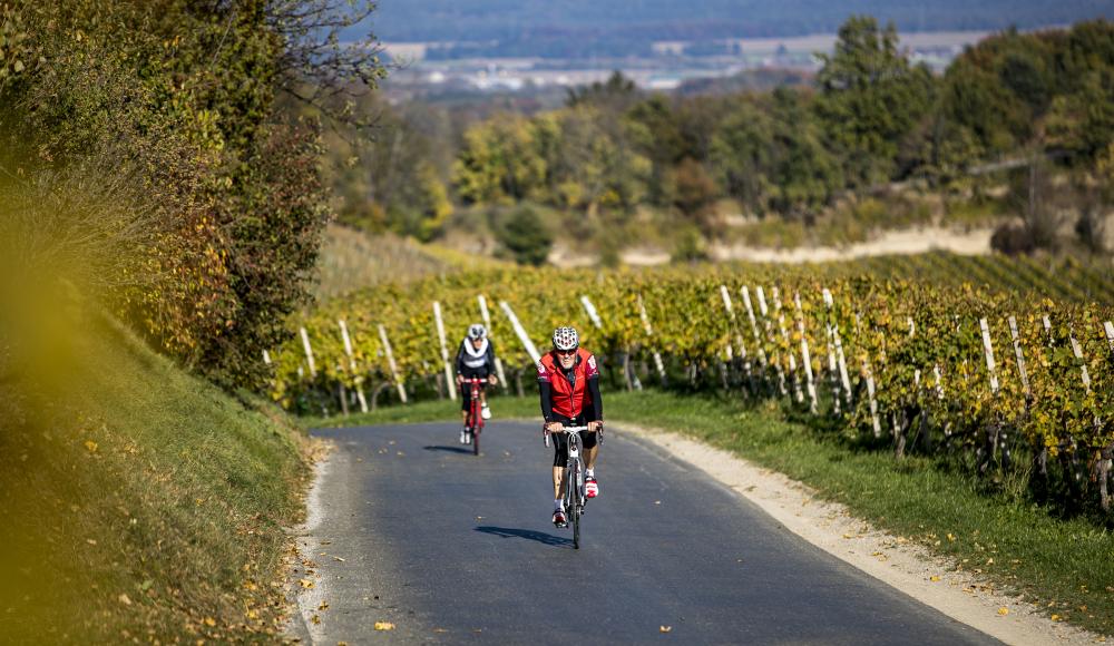 Südsteiermark: Grünes Paradies für Biker