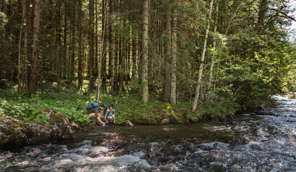 Willkommen im Paradies: Aktive Erholung in der Urlaubsregion Schladming-Dachstein