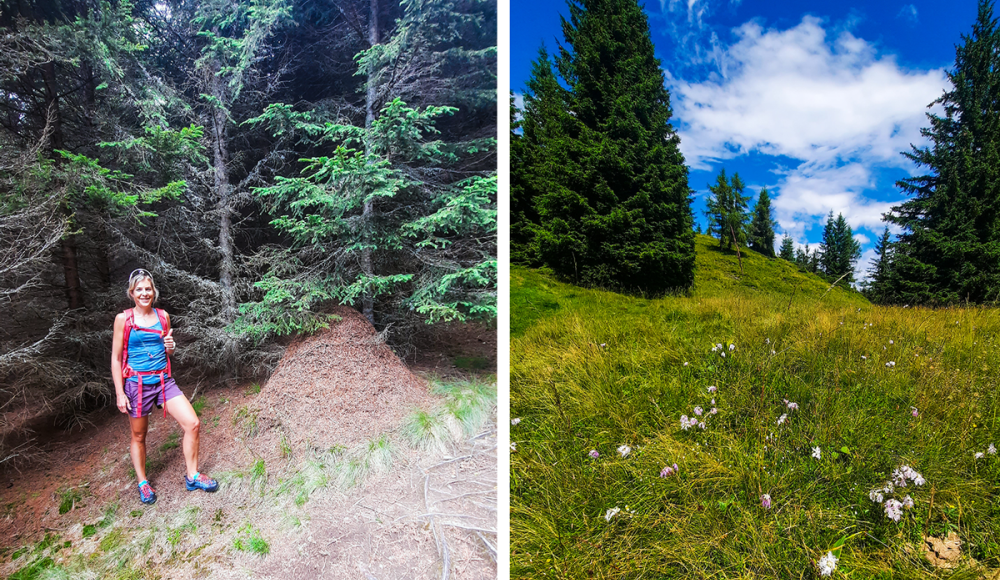 SPORTaktiv Test: auf Bike & Hike-Abenteuer in der Erlebnisregion Graz