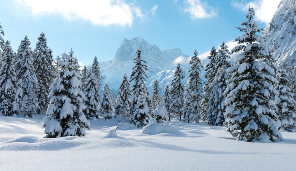SPORTaktiv sucht die beliebtesten Skigebiete, Langlaufregionen und Skitouren Österreichs 2023
