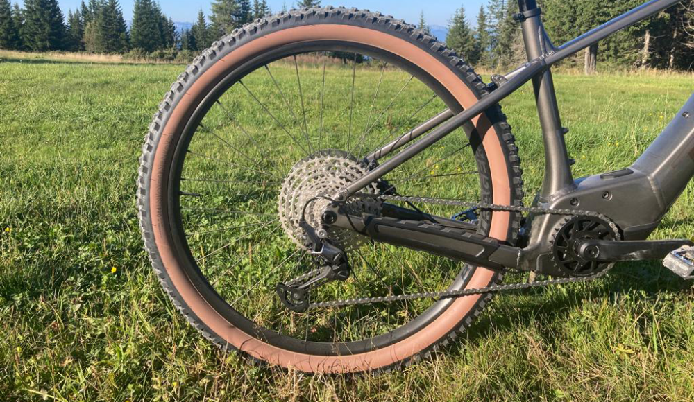 Trek Marlin+ im SPORTaktiv-Test