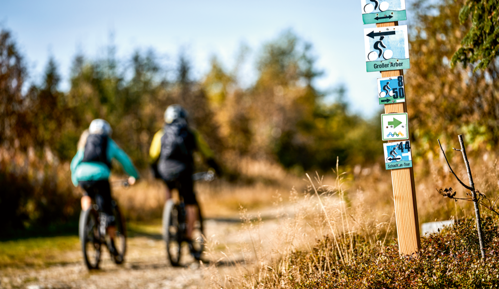 Wild Thing: Expertentipps für eure nächste Bike-Mehrtagestour