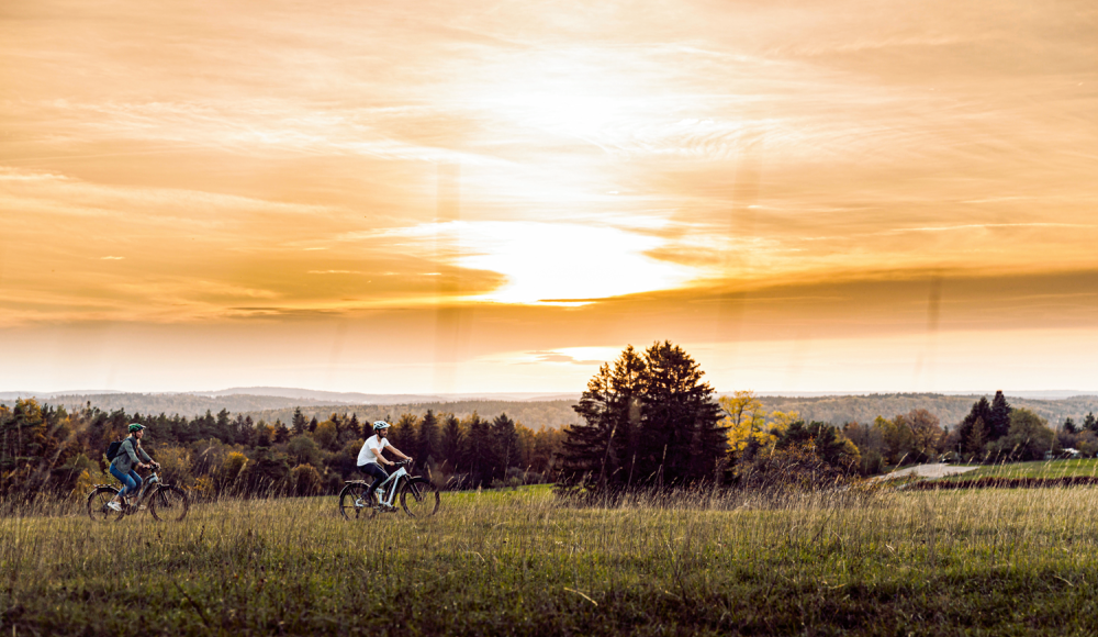 Hardtail bis Fully: So findest du das perfekte E-Mountainbike